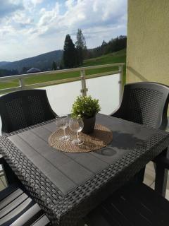 Residenz Grafenmatt "Feldbergblick" direkt an der Skipiste und den Wanderwegen - Rinken - 1