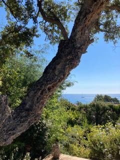 VILLA LES GORGONES - Corse du Sud - Vue mer - 200m plage - 7