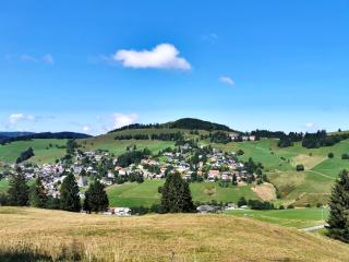 Ferienwohnung Bergoase - Todtnauberg, Feldberg - 9