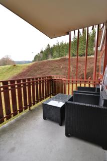 Kurhotel Schluchsee App 1003 - Ferientraum - mit Indoorpool, Sauna, Schluchsee - Schluchsee - 3