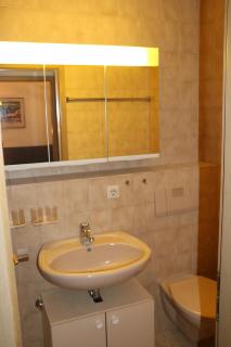 Fewo 2 - Residenz Schauinsland -Sauna, E-Ladestation, Schauinsland- Todtnauberg, Liftverbund Feldberg - Ennerbach - 1