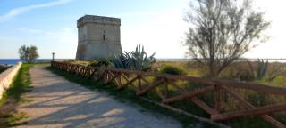 Bilocali Approdo "Fronte Mare" e "Lato Strada" - Porto Cesareo - 0
