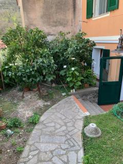 I Limoni 3 - Biassa - 0