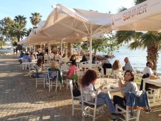 Athens Riviera garden recluse, close to sea n city - Atene - 8