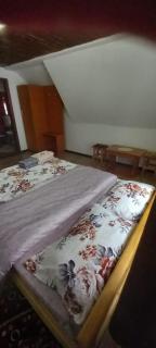 La Marian pensiune restaurant - 8