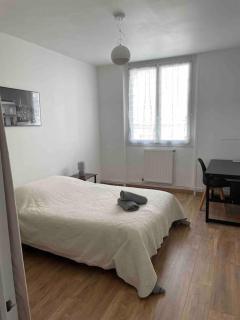 Appartement Spacieux Centre Gare Visitation - Angers - 8