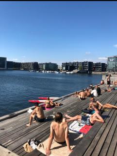 Canal view In City - Copenaghen - 2