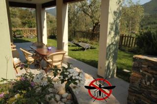 Terre Di Garlenda - Garlenda - 9