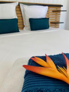 Villa Bleu Soleil - Saint-François - 2