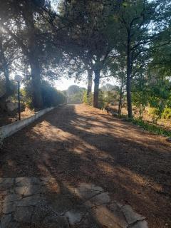 Villa Ugo - Martina Franca - 1