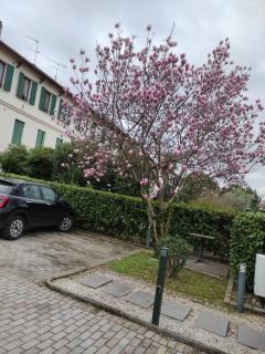 Casa della Magnolia - Conegliano - 2