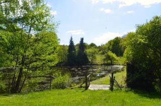 L'Olive - Saint-Bazile - 5