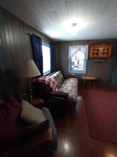 Adirondack Retreat - Bakers Mills - 8