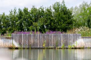 Magnifique Eco-gîte 4 personnes avec piscine naturelle - Pont-du-Casse - 9