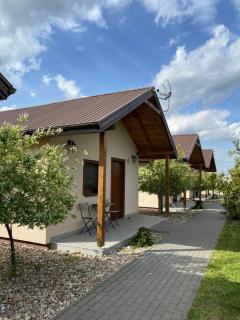 Stajnia Bocianie Gniazdo - Uniejow - 8
