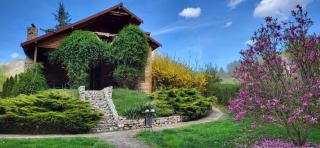 Cabana MIA Valisoara - Vălişoara - 5
