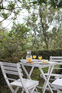 Palm Grove Lodge - Margate - 2