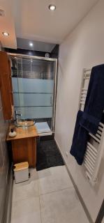 Bel appartement rénové avec de beaux volumes - Flavigny-sur-Moselle - 1