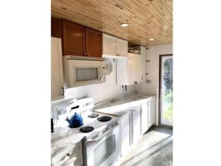 Lovely Leslieville, exploring nature in the city - 6