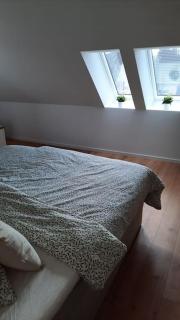 Neubau Ferienwohnung - Wallsbüll - Wallsbüll - 6