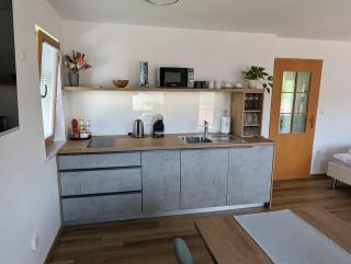 Studio apartment Velis - Radovljica - 2