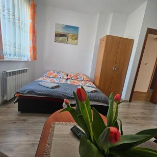 POD ŻAGLEM Pokoje Gościnne - Władysławowo - 3