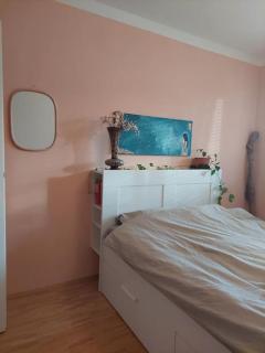 Schöne helle Wohnung mit Whirlpoolbadewanne - Graz - 7