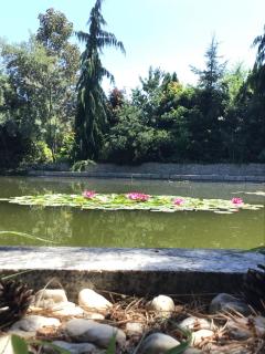 DOM GOŚCINNY NAD JEZIOREM BIAŁYM - 3