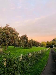 Perche Normandie Belleme longère maison déco - 3