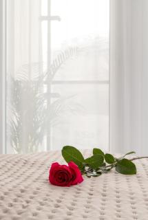 Luxury Design Apartments - Warsaw Tower Bliska Wola - Varsavia - 2