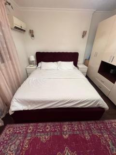 Unique apartment in Almaza - 3