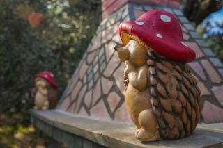 Blue Horizon View - 9