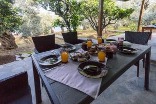 Blue Horizon View - 6