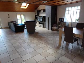Holidays Homes Il Folletto - Quartino - 6