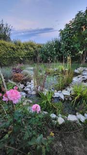 Haus mit Bergsicht und Rosengarten Zürich 30 Min - Jestetten - 1