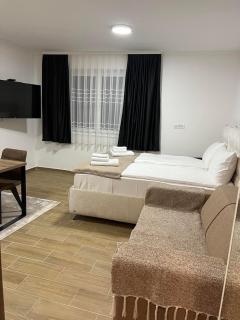 Kopaonik apartmani 202 Zoned 1 - Children up to 13 years free! - 6