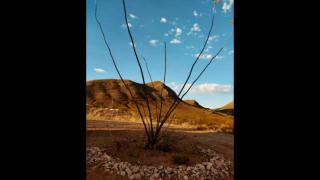 StarGazer Hidaway - Bisbee - 7