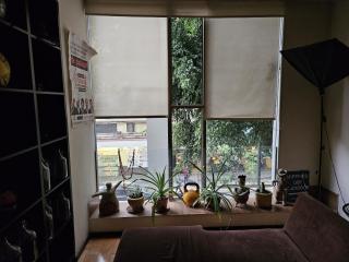 Urban living BnB Puerta Alameda - Città del Messico - 6