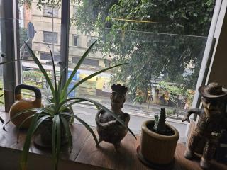 Urban living BnB Puerta Alameda - Città del Messico - 5