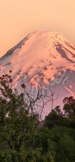 Cabaña, Coñico, Purranque - 0