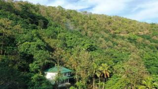 Pepper and Clove Enclave - Puliyara - 6