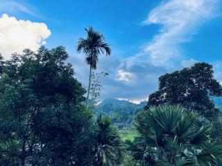 Ella Peaks Lodge - 3