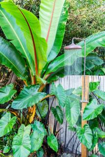 The Cabin - Mangawhai Heads Studio - Kaiwaka - 8