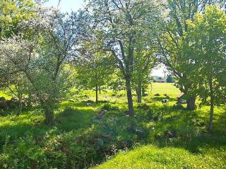 8 person holiday home in HÖGSBY - 4