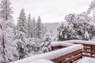 Mountain View, near Yosemite & Bass Lake, BBQ, Fireplace,EVC - 4