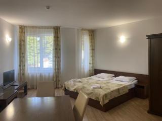 The Stream Resort - Pamporovo - 6