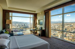 The Biltmore Tbilisi Hotel - Tbilisi - 8