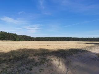Haus zum Kiessee - - 3