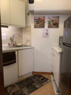 SPINALE casa in centro, arrivi con gli sci! SANIFICAZIONE A VAPORE - Madonna di Campiglio - 1