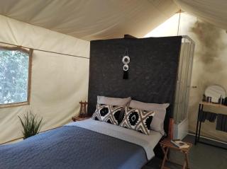 Glamping Casa Soarelui - Vama Veche - 8